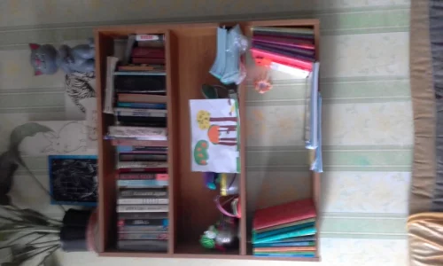 Книжную полку