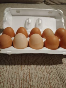 Яйцо домашнее