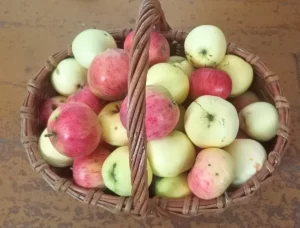 Яблоки деревенские