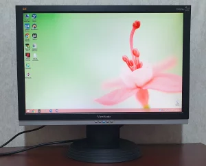 Монитор 20"