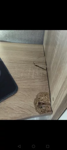 Кровать чердак