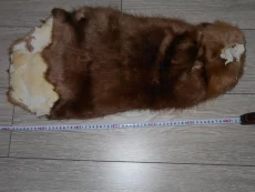 Шкурка бобра