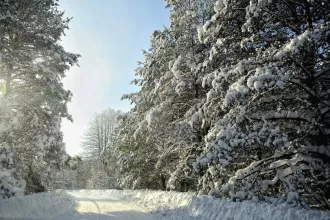 Бобруйский район в морозный день. Фото