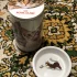 Аксессуары для корма кошек