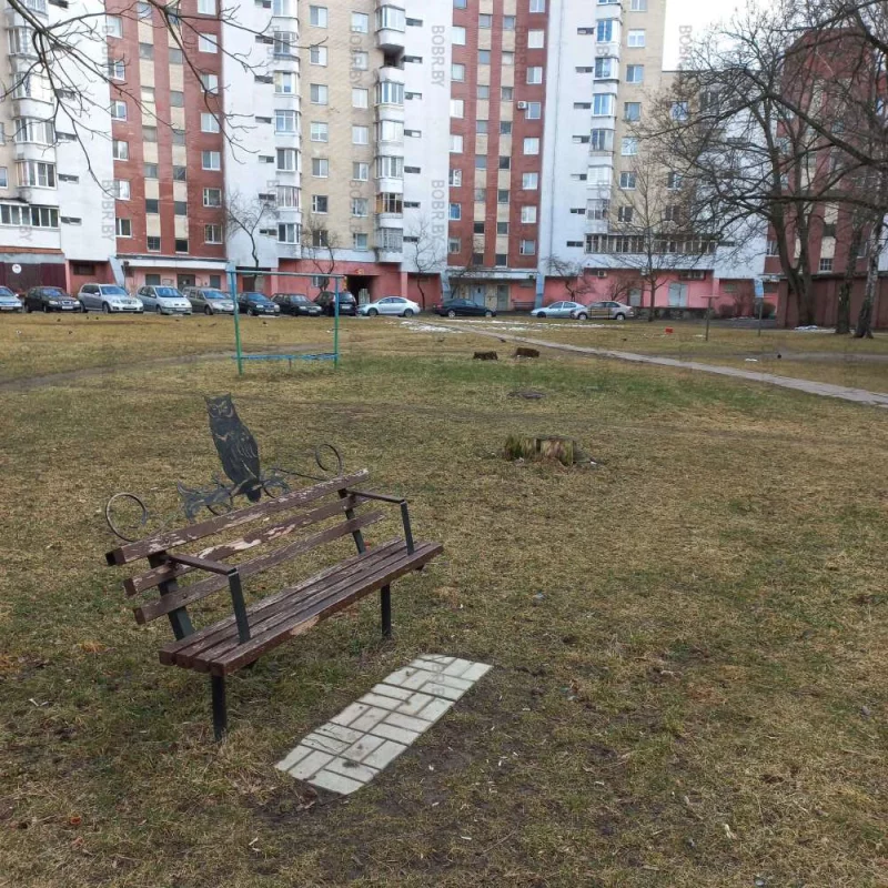 Бобруйск - город пеньков 