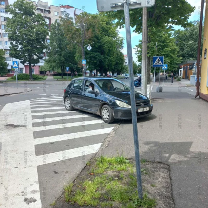 Водила