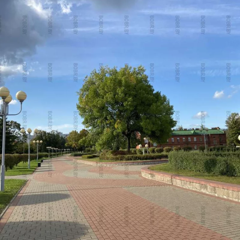 Ну что за красота