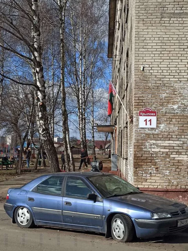 А вы проголосовали?