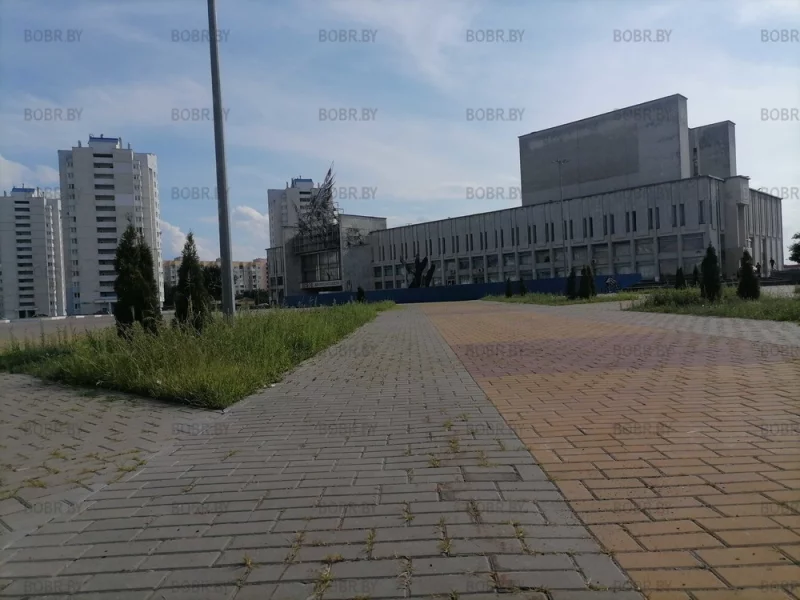 Заросли на Д К Шинник 