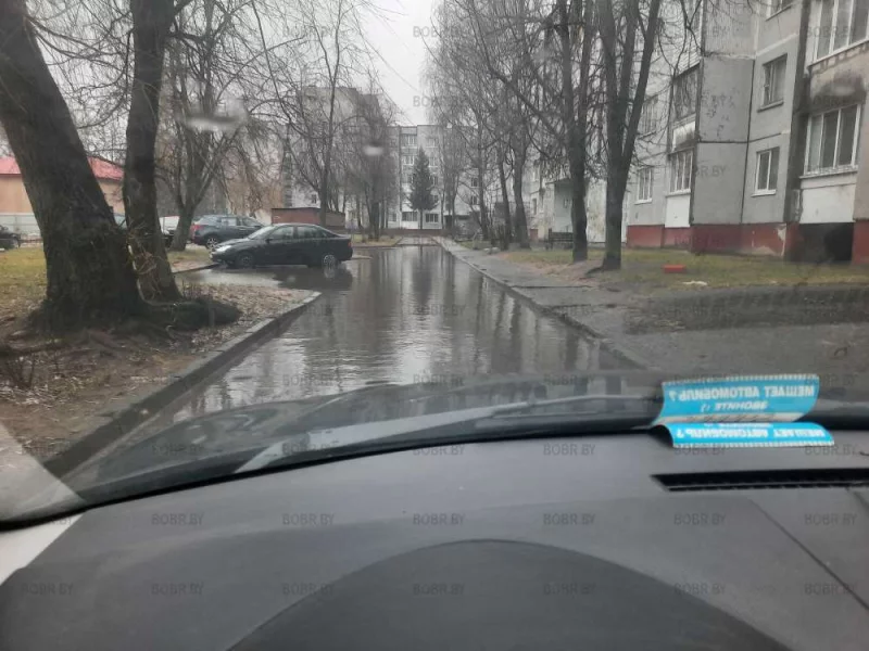Двор по адресу Рокоссовского 50