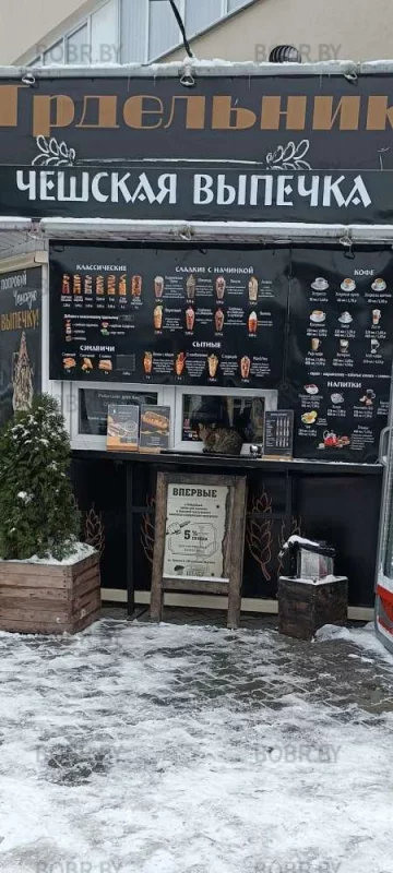 Доброе котоутро..