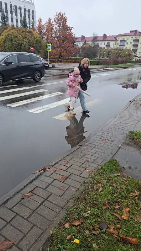 Комфортная городская среда. А как переходить дорогу по пешеходному переходу, если не предусмотрена ливневка и огромная лужа, в которой приходится мочить ноги?