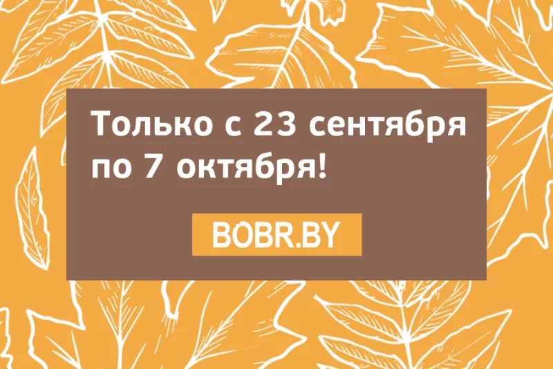 Ловите момент! Последний день акции с большими скидками на рекламу