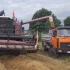 Зерно, Пшеница, Ячмень, Овес, Кукуруза - дешево!