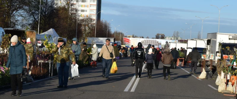 Продолжается сезон сельскохозяйственных ярмарок на Бобруйщине