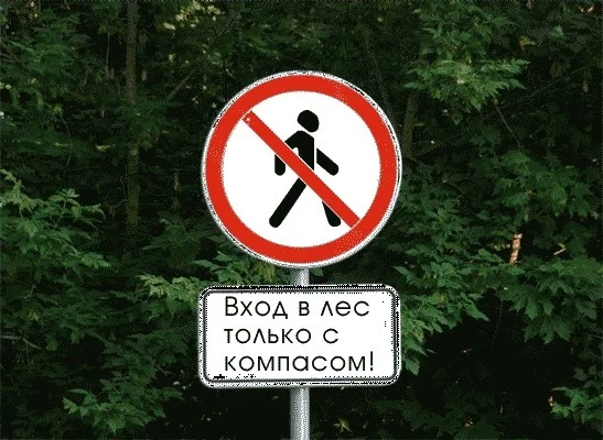 Совет дня – Как не заблудиться в лесу!
