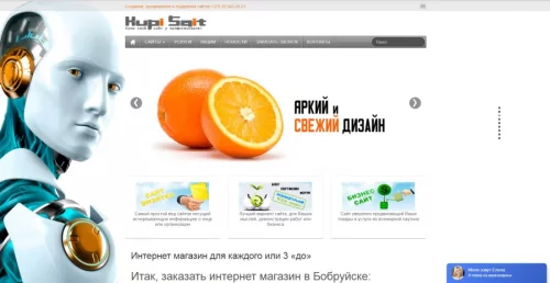 Создание сайтов в Бобруйске