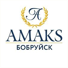 Амакс. Премьер отель (Гостиница «Бобруйск»)