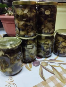 Грибы зелёнки