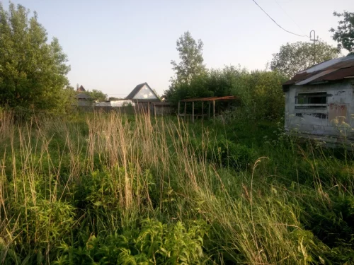 Дачный участок в тихом месте
