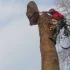 Спил деревьев Удаление Пней Расчистка участка