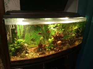 Аквариум 200л