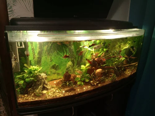 Аквариум 200л