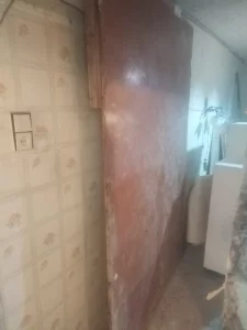 Отдам бесплатно