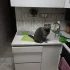 Отдам в хорошие руки