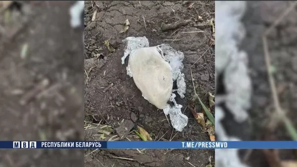 Молодую бобруйчанку задержали с крупной партией наркотиков