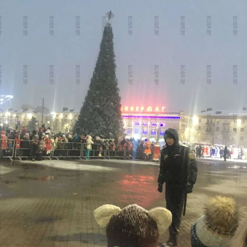 Шествие Дед Морозов 