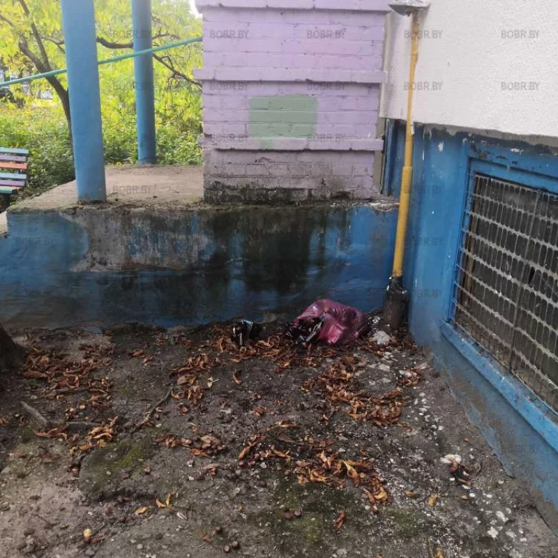 Очень тяжело донести до мусорки... 