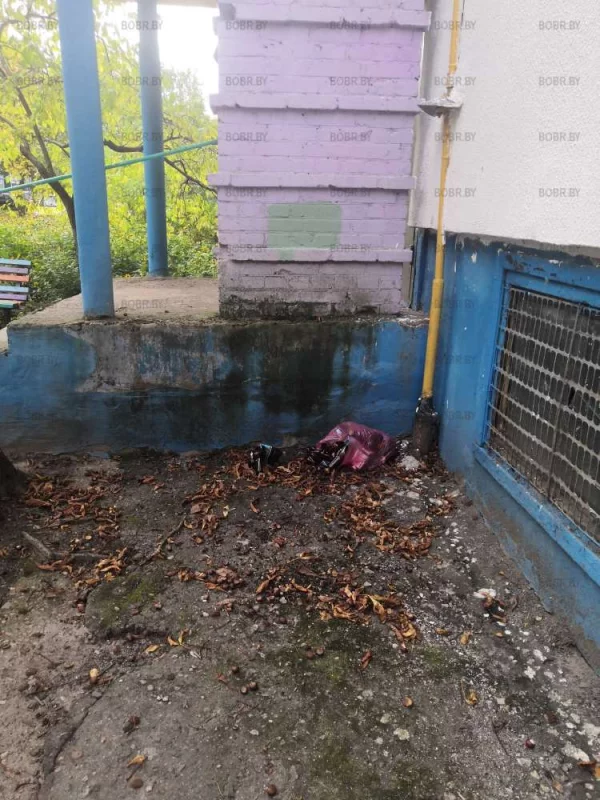 Очень тяжело донести до мусорки... 