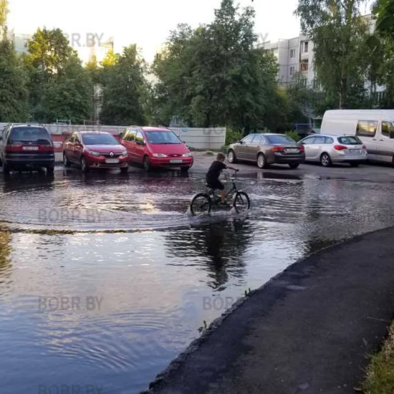 Лужа детской радости