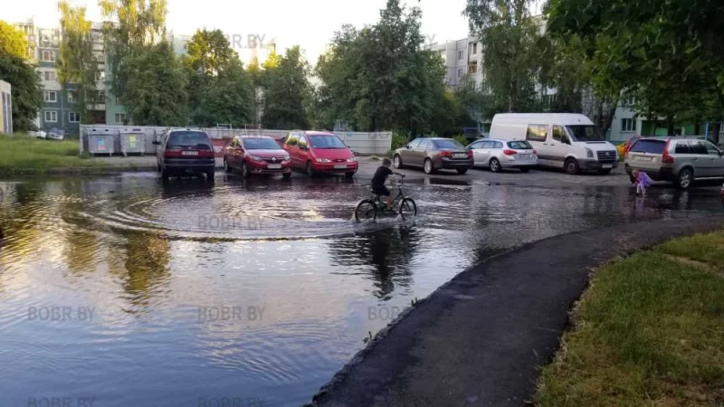 Лужа детской радости