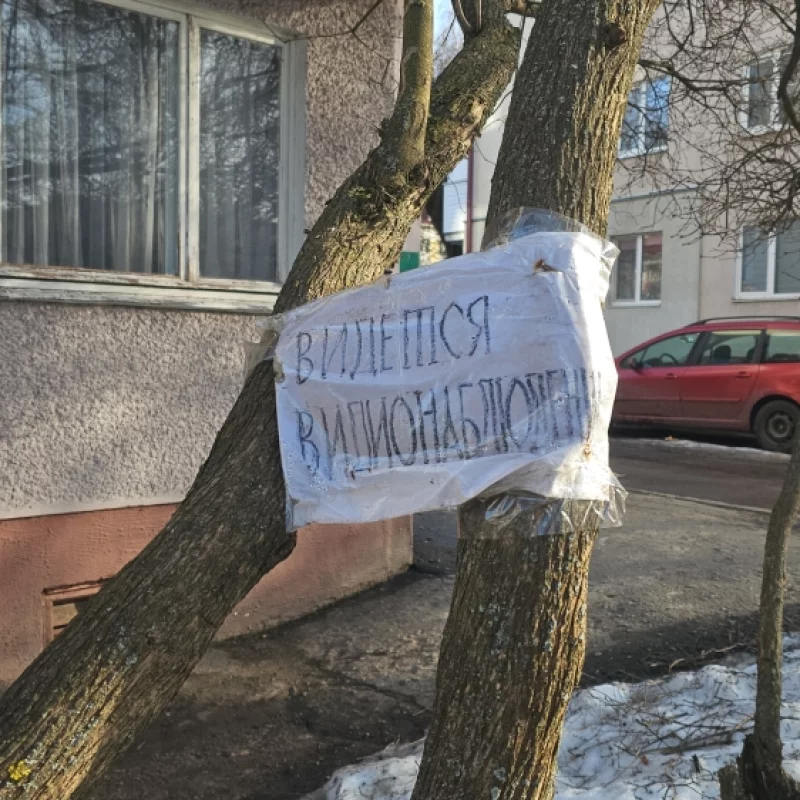 Серьёзный двор : )