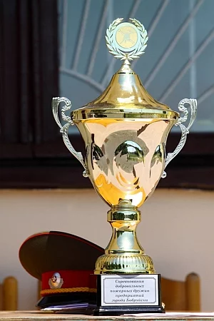 Лучшая добровольная пожарная дружина