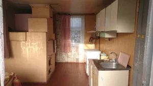 Дом в центре города, по ул. Шевченко (р-н Орджоникидзе-Крылова)