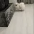 потерялся белый шпиц