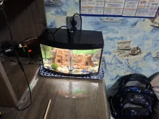 Аквариум панорамный с подсветкой 15л