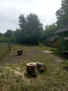 Участок с домом в жилой деревне Ясень-Каменка