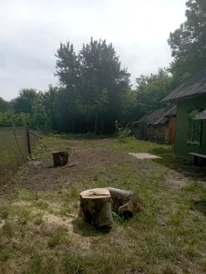 Участок с домом в жилой деревне Ясень-Каменка