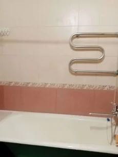 Однокомнатная Доманский