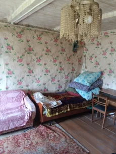 Домик в деревне Брицаловичи
