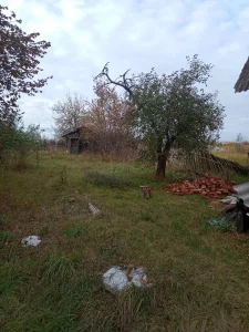 Дом