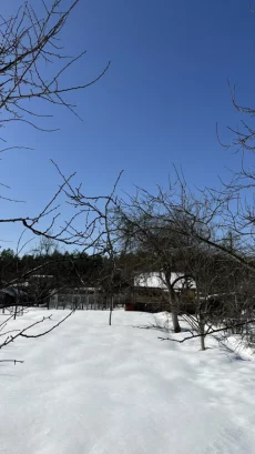 Дачу в СТ «Радуга» 2км от Бобруйска