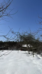 Дачу в СТ «Радуга» 2км от Бобруйска