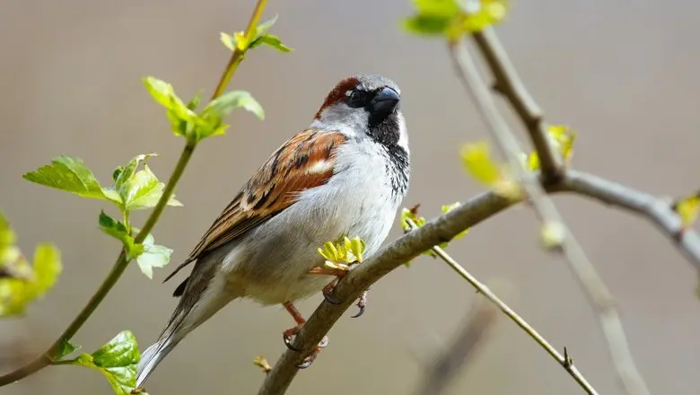 Погода на 1 мая в Могилевской области