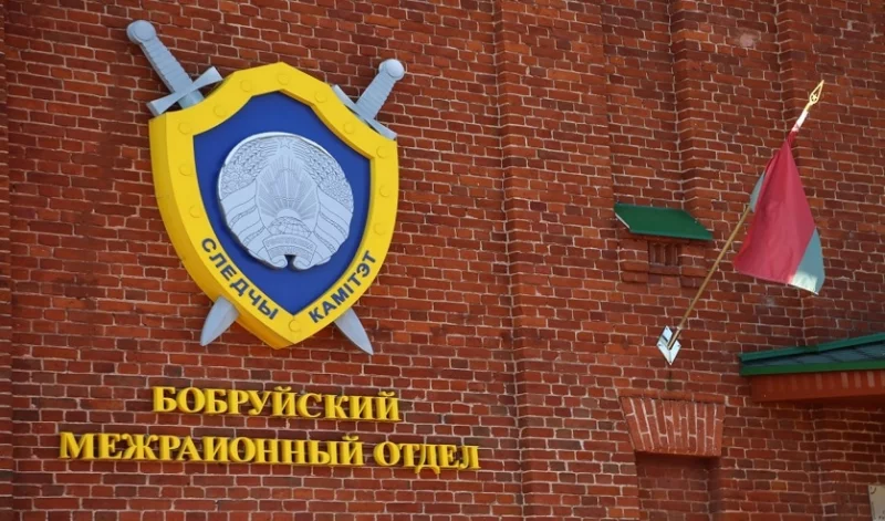 Бобруйчанка обокрала семью двоюродного брата. Возбуждено уголовное дело