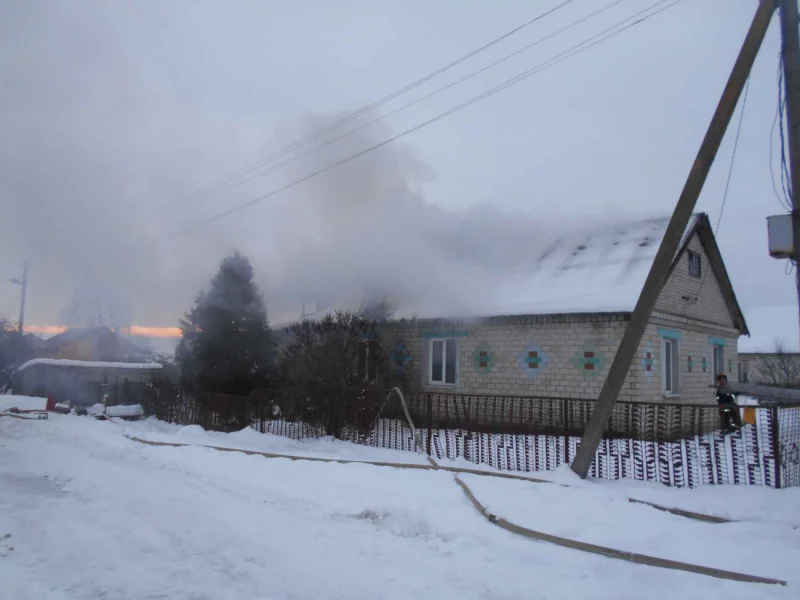 Пожар в деревне Каменка Бобруйского района